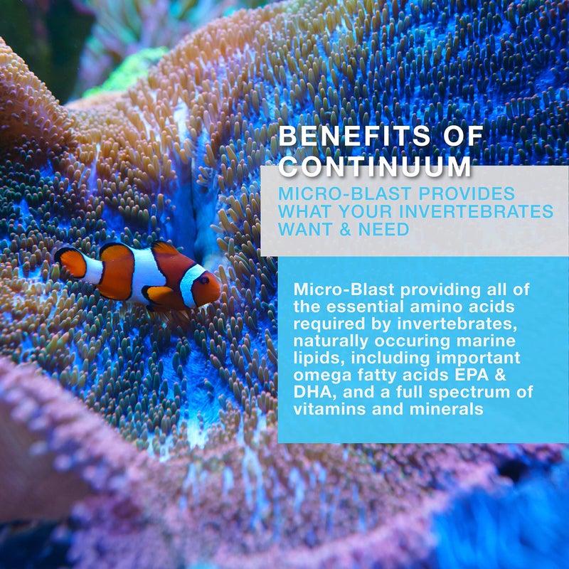 Continuum Aquatics Brightwell Aquatics Micro-Blast - invertebrate food for live corals, feather dusters, gorgonians, and other fine filter feeders, 500 ml - Image 2